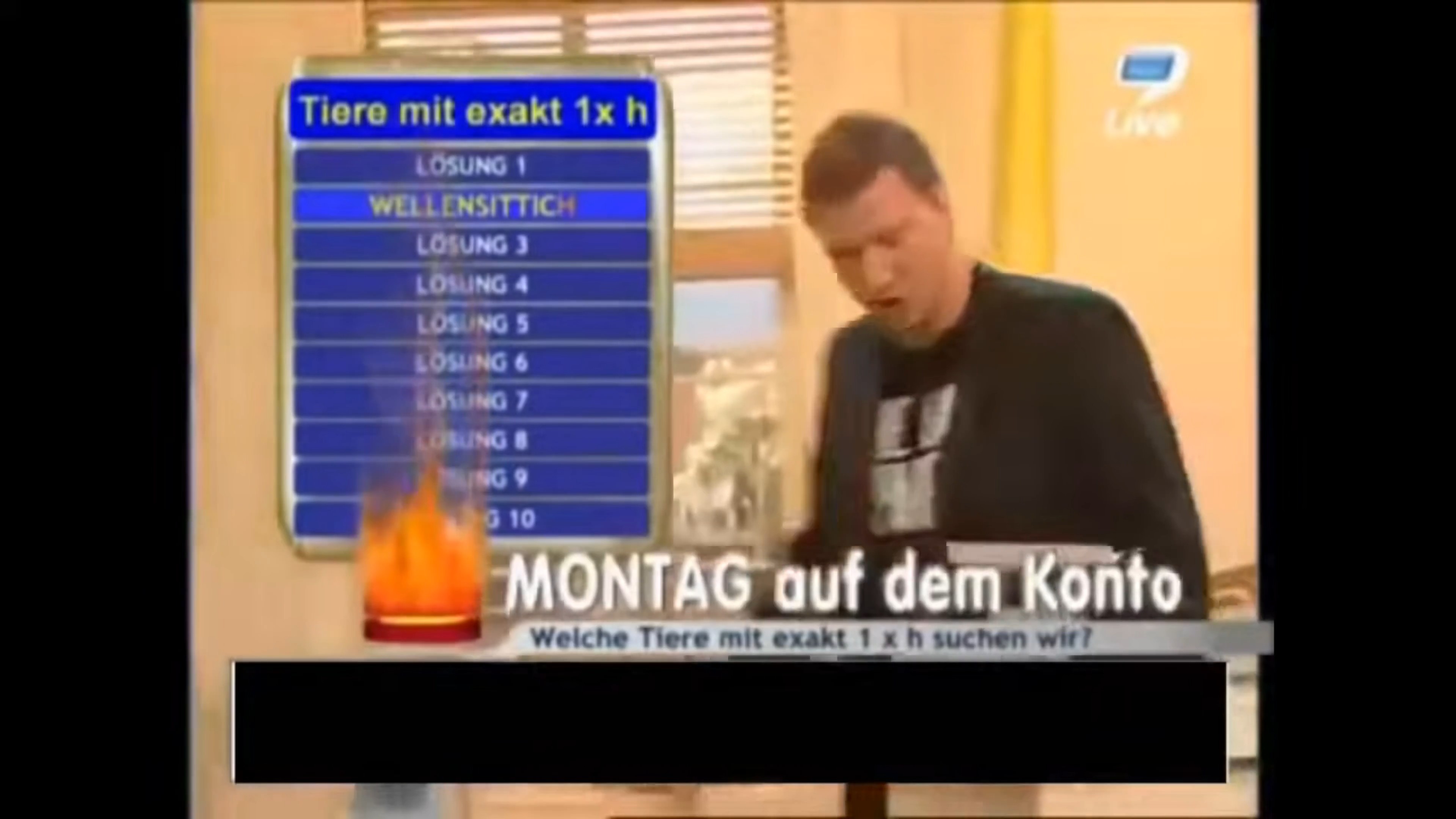 Habicht at 00:00 — SCHRADIN