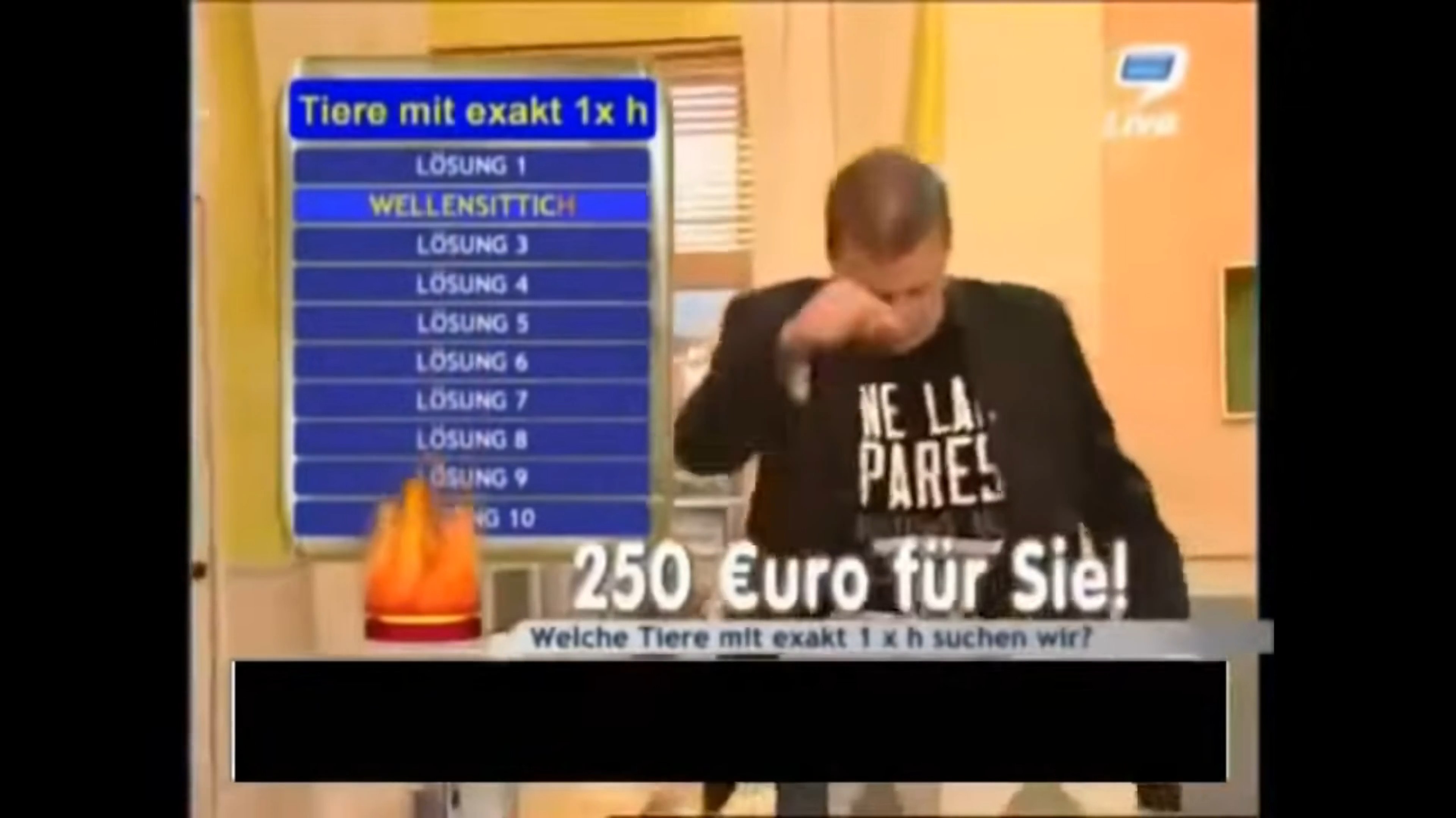 Habicht at 00:03 — SCHRADIN