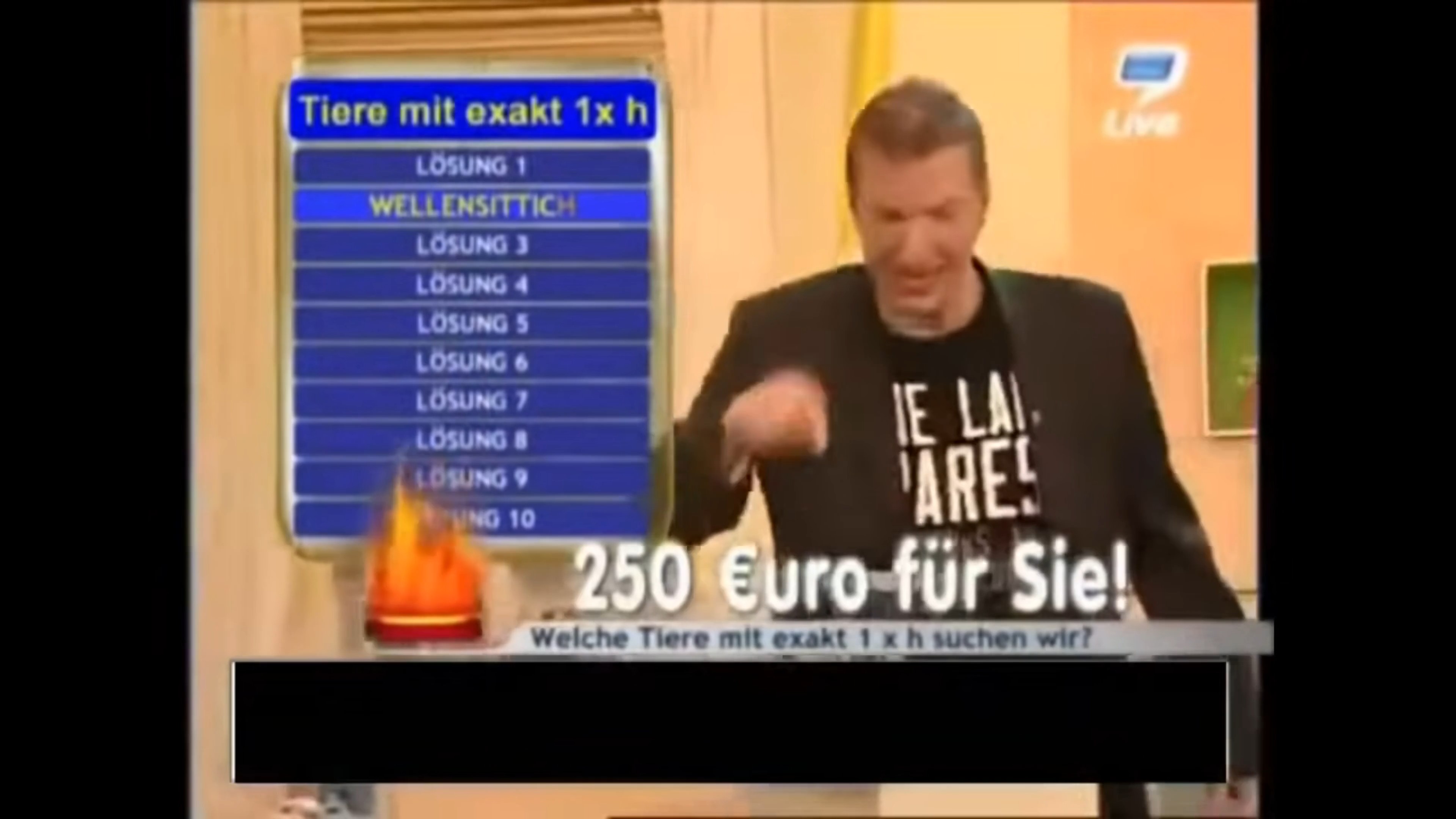Habicht at 00:04 — SCHRADIN