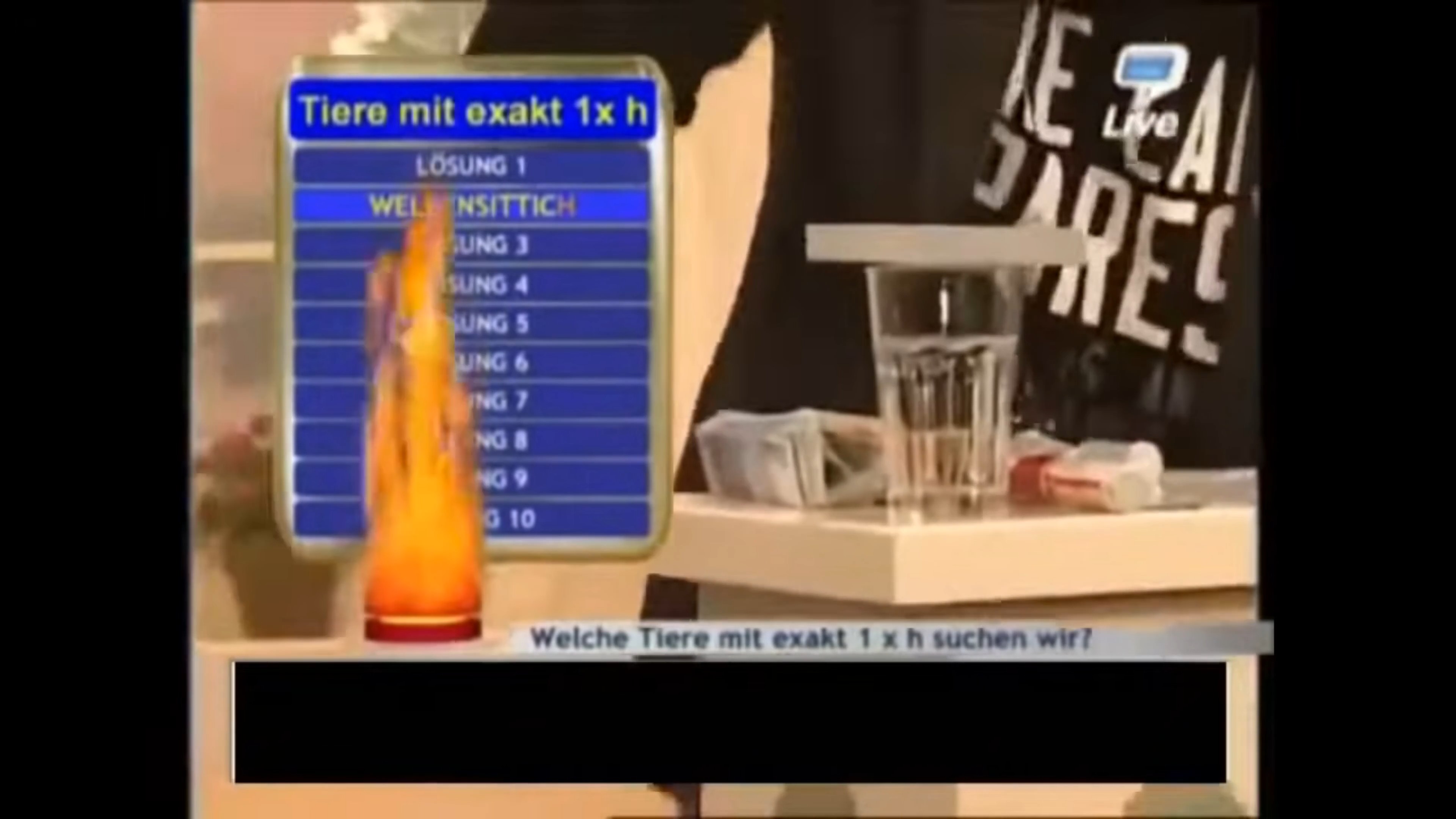 Habicht at 00:10 — SCHRADIN