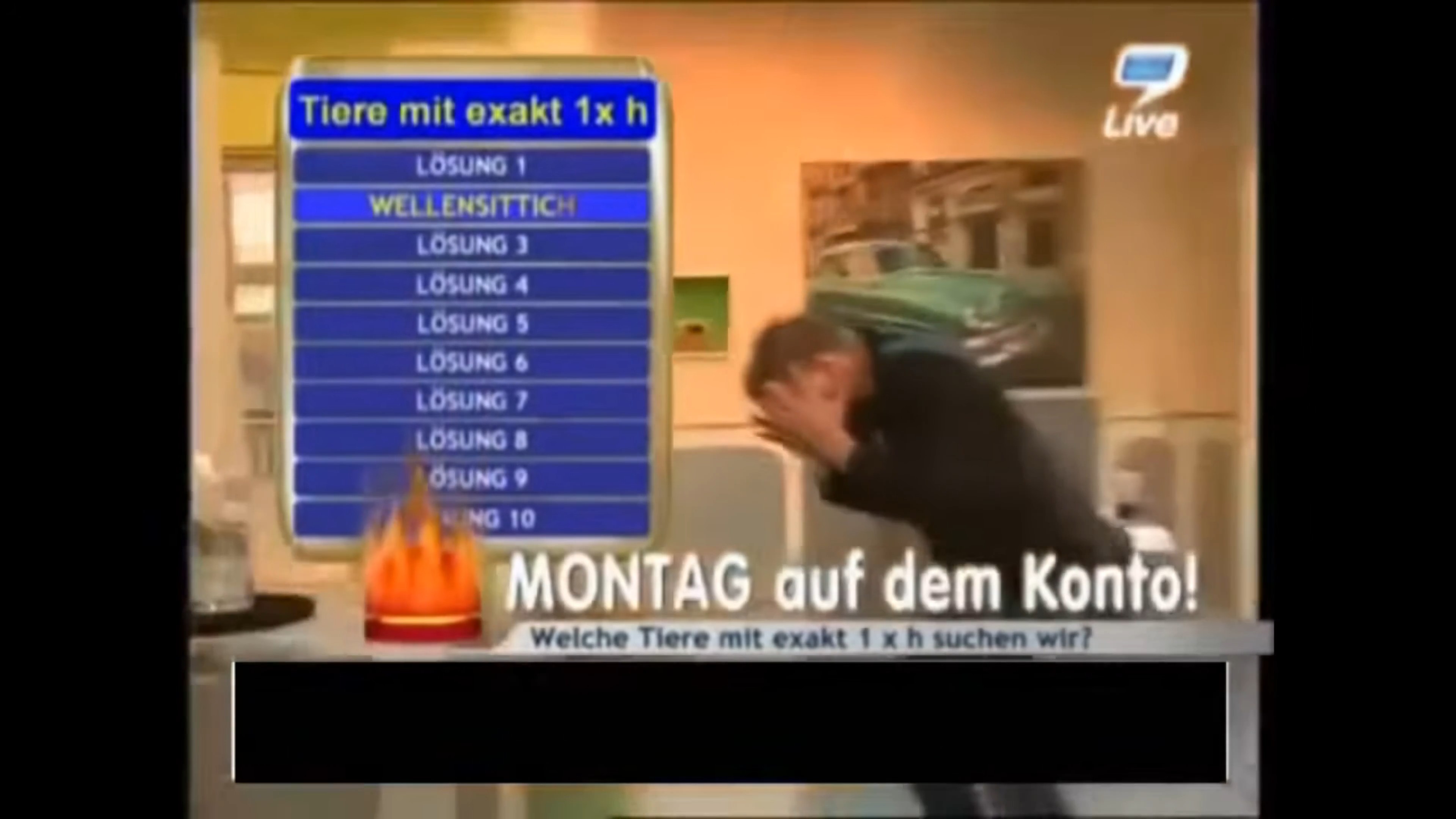 Habicht at 00:16 — SCHRADIN
